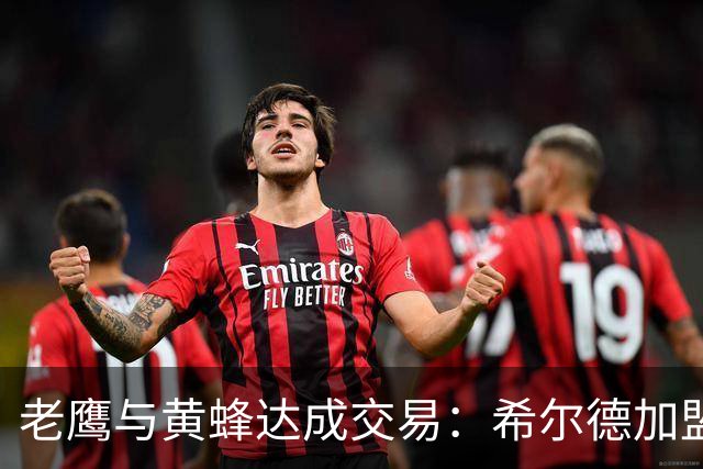 老鹰与黄蜂达成交易：希尔德加盟，芬尼-史密斯再转手